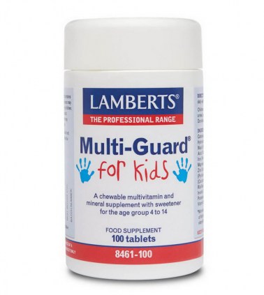 lamberts-multi-guard-for-kids-formerly-playfair